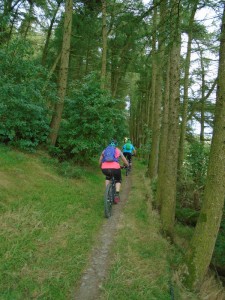 Jeanette on the singletrack through the trees on Moel Eithinen.