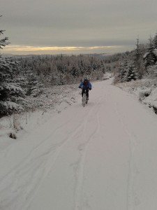 Charlotte on the snowy Grizedale Forest fire track climb. It was hard work and we were all sweating by the top.