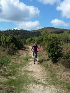Heather at the end of the Fingers track in Clwyd Forest.