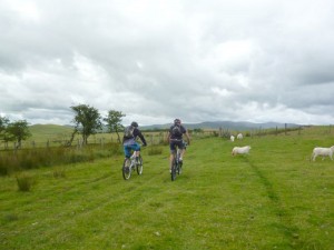 Pete and Mark crossing the green fields of Pen y Gwely.    