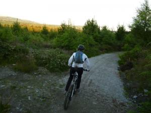 Sally on the cycle trail in Nercwys Forest.