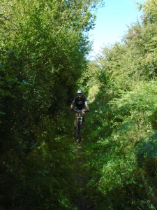 Becky in the vegetation at the end of the Fron Haul bridleway.