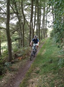 Marc on the singletrack through Moel Eithinen Woods in the Clwydian Range.