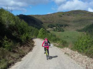 Heather descending fingers track towards Moel Famau in Clwyd Forest.