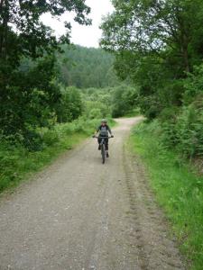 Becky riding through Clwyd Forest below Moel Famau.