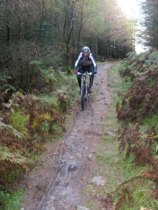 Steph on the Tarn Intake trail in Grizedale Forest. 