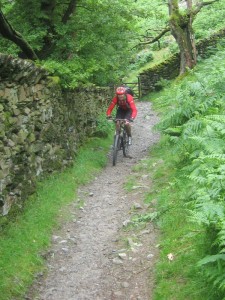 Mark on the coffin route through Nab Woods. 
