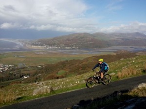 Matty above Barmouth and the Mawddach Estuary.